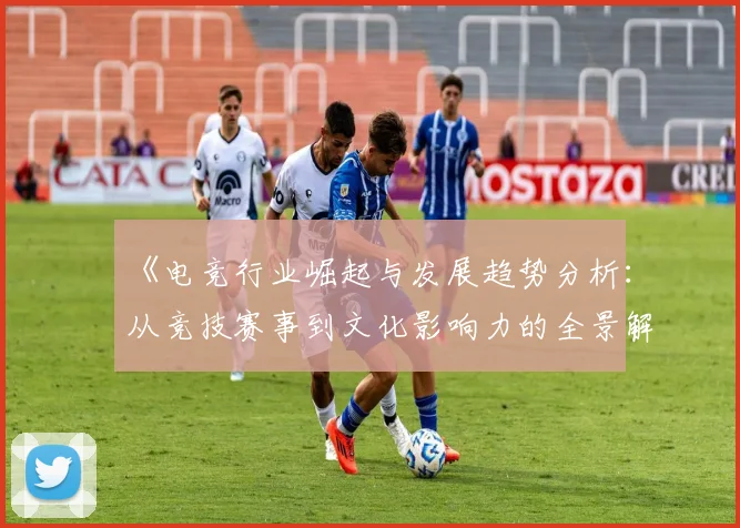 《电竞行业崛起与发展趋势分析：从竞技赛事到文化影响力的全景解读》