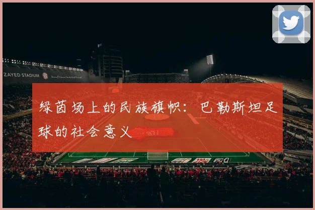 绿茵场上的民族旗帜：巴勒斯坦足球的社会意义