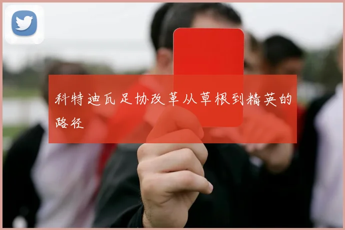 科特迪瓦足协改革从草根到精英的路径