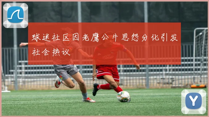 球迷社区因老鹰公牛恩怨分化引发社会热议