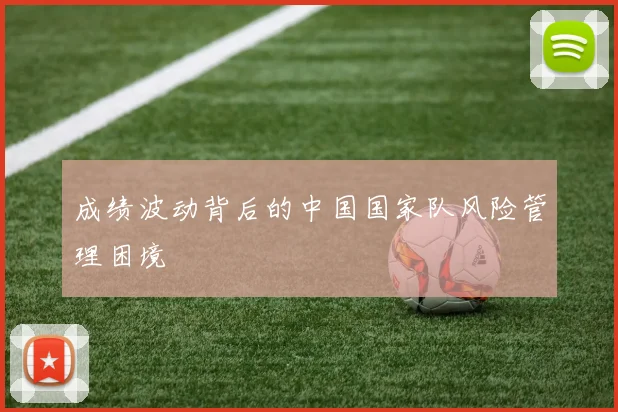 成绩波动背后的中国国家队风险管理困境