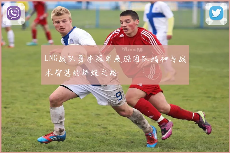 LNG战队勇夺冠军展现团队精神与战术智慧的辉煌之路
