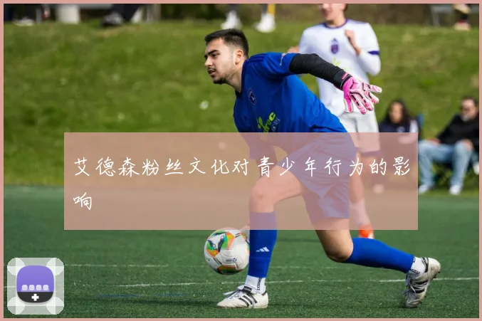 艾德森粉丝文化对青少年行为的影响